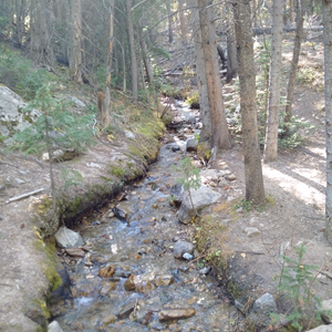 Mt Elbert (44).jpg